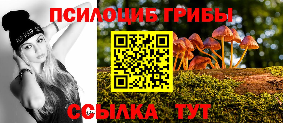 Ковров  Псилоцибиновые грибы прущие грибы  Вход с VPN 