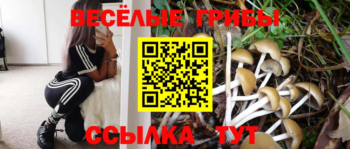 Псилоцибиновые грибы мухоморы Ковров